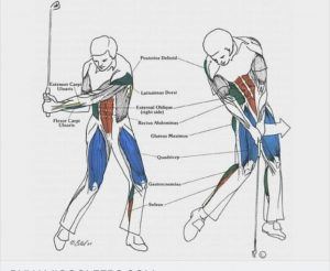 Αποκτήστε Golf Fit για το 2022 και παίξτε καλύτερα
